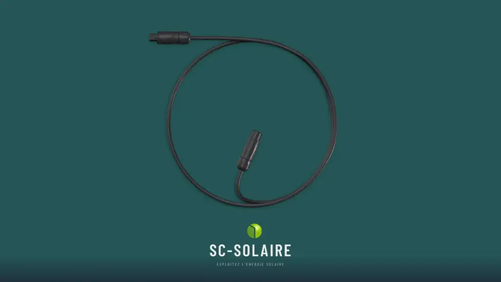 Câble Interconnexion 2 m